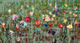 Garden Flowers - 150 x 80 cm - Schilderij bloem_8